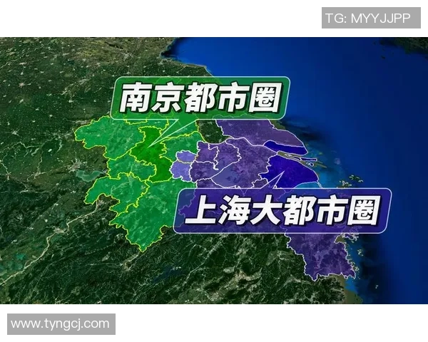 南京排球队与上海排球队赛后复盘团队协作的关键因素与表现分析