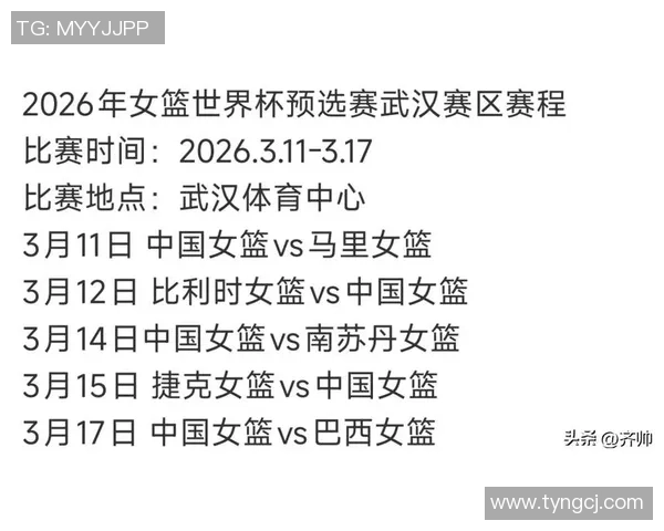 武汉篮球队在世界杯预选赛中的个人能力分析与表现评估