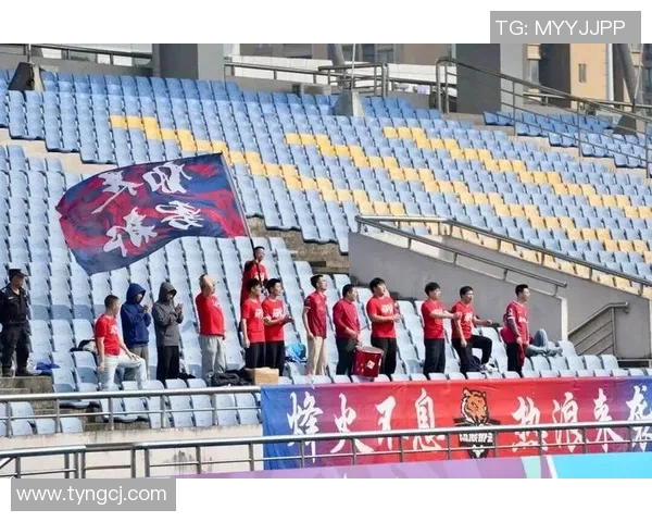 重庆排球队比赛经验引发热议球迷观点各异引发争论 重庆排球队比赛经验引发热议球迷观点各异引发争论