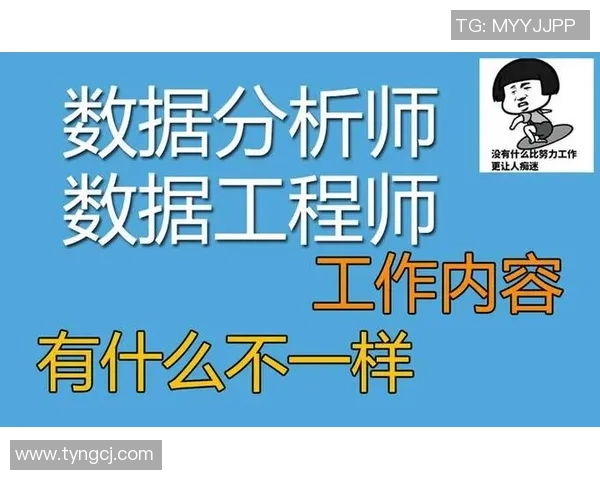 杭州排球队的整体压制分析与战术深度探讨