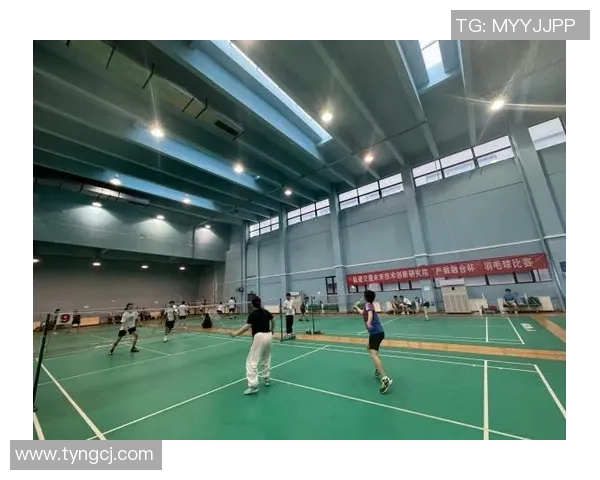 深圳羽毛球队快攻战术解析与技术创新探讨