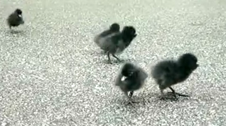 ��ҳ | J9�������޹�˾����