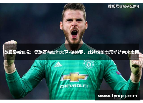 英超最新状况：曼联宣布续约大卫·德赫亚，球迷纷纷表示期待未来表现