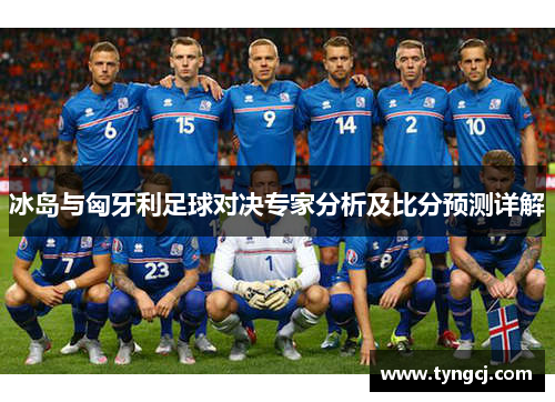 冰岛与匈牙利足球对决专家分析及比分预测详解